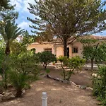 Paz فيلة